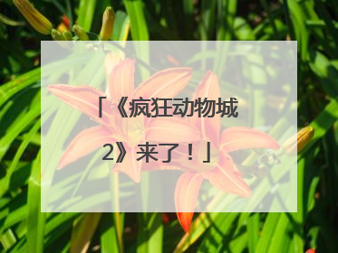 《疯狂动物城2》来了！