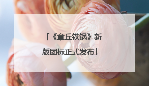 《章丘铁锅》新版团标正式发布