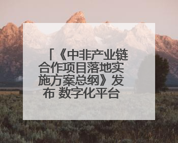 《中非产业链合作项目落地实施方案总纲》发布 数字化平台赋能非洲发展驶入快车道