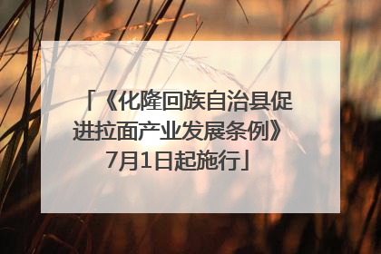 《化隆回族自治县促进拉面产业发展条例》7月1日起施行