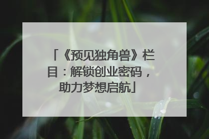 《预见独角兽》栏目：解锁创业密码，助力梦想启航