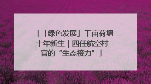 「绿色发展」千亩荷塘 十年新生｜四任航空村官的“生态接力”