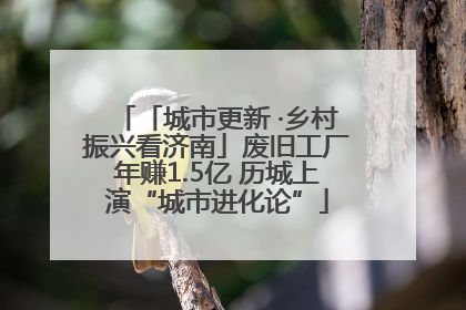 「城市更新 ·乡村振兴看济南」废旧工厂年赚1.5亿 历城上演“城市进化论”