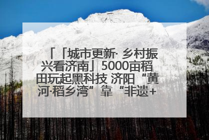 「城市更新· 乡村振兴看济南」5000亩稻田玩起黑科技 济阳“黄河·稻乡湾”靠“非遗+露营”火出圈