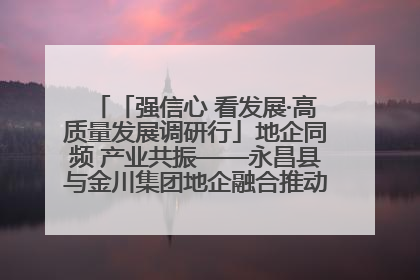 「强信心 看发展·高质量发展调研行」地企同频 产业共振——永昌县与金川集团地企融合推动重大项目建设