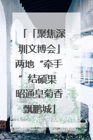 「聚焦深圳文博会」两地“牵手”结硕果 昭通皇菊香飘鹏城