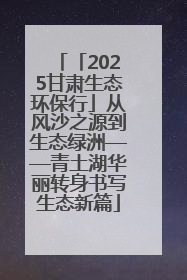 「2025甘肃生态环保行」从风沙之源到生态绿洲——青土湖华丽转身书写生态新篇