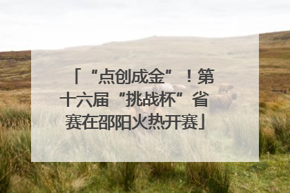 “点创成金”！第十六届“挑战杯”省赛在邵阳火热开赛
