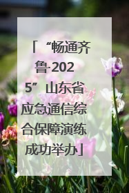 “畅通齐鲁·2025”山东省应急通信综合保障演练成功举办