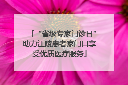 “省级专家门诊日”助力江陵患者家门口享受优质医疗服务
