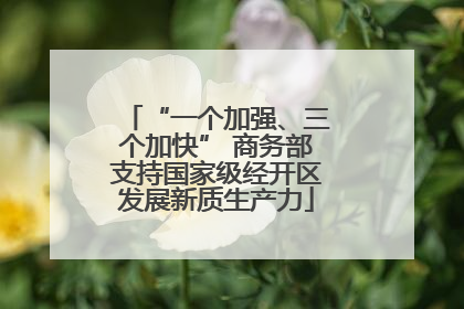 “一个加强、三个加快” 商务部支持国家级经开区发展新质生产力