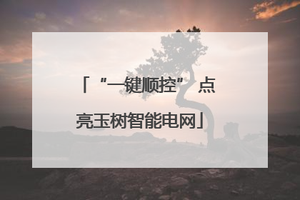 “一键顺控” 点亮玉树智能电网