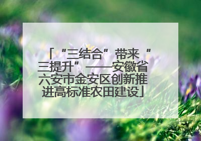 “三结合”带来“三提升”——安徽省六安市金安区创新推进高标准农田建设