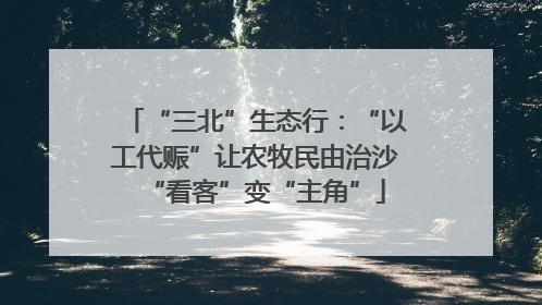 “三北”生态行：“以工代赈”让农牧民由治沙“看客”变“主角”