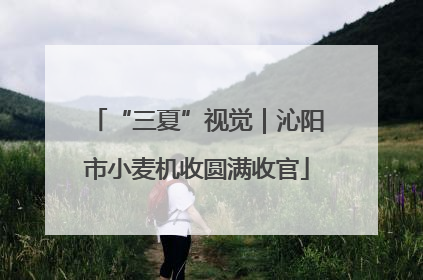 “三夏”视觉｜沁阳市小麦机收圆满收官
