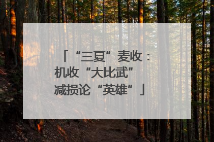 “三夏”麦收：机收“大比武” 减损论“英雄”