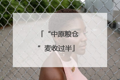 “中原粮仓”麦收过半