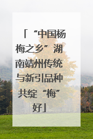 “中国杨梅之乡”湖南靖州传统与新引品种共绽“梅”好