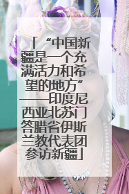 “中国新疆是一个充满活力和希望的地方”——印度尼西亚北苏门答腊省伊斯兰教代表团参访新疆