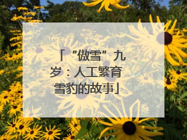 “傲雪”九岁：人工繁育雪豹的故事