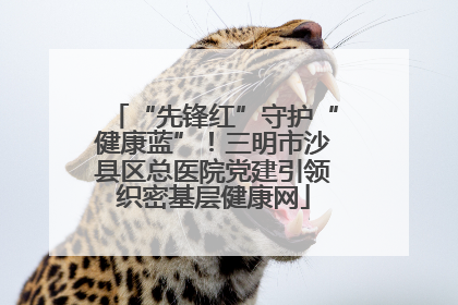 “先锋红”守护“健康蓝”！三明市沙县区总医院党建引领织密基层健康网