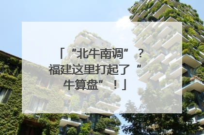 “北牛南调”？福建这里打起了“牛算盘”！