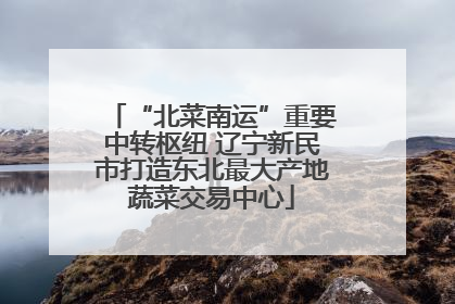 “北菜南运”重要中转枢纽 辽宁新民市打造东北最大产地蔬菜交易中心