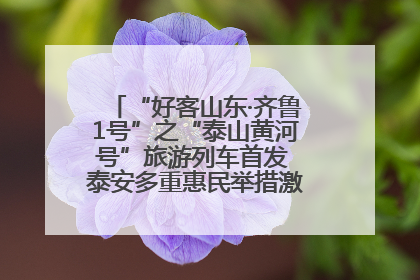 “好客山东·齐鲁1号”之“泰山黄河号”旅游列车首发 泰安多重惠民举措激活文旅消费新动能