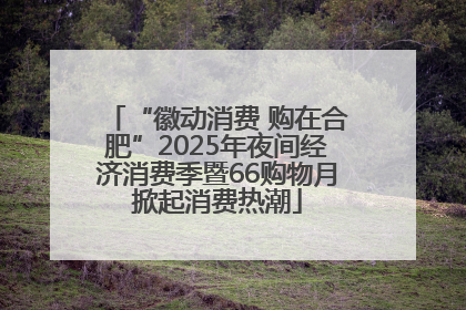 “徽动消费 购在合肥”2025年夜间经济消费季暨66购物月掀起消费热潮