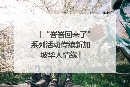 “峇峇回来了”系列活动传续新加坡华人情缘