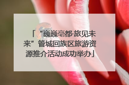 “巍巍亳都·旅见未来”管城回族区旅游资源推介活动成功举办