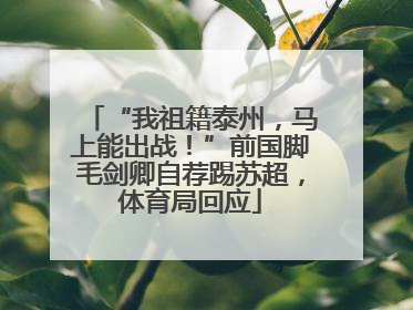 “我祖籍泰州，马上能出战！”前国脚毛剑卿自荐踢苏超，体育局回应