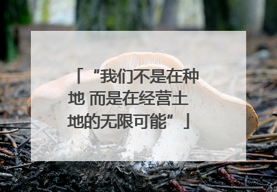 “我们不是在种地 而是在经营土地的无限可能”
