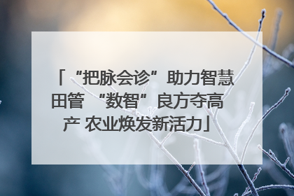 “把脉会诊”助力智慧田管 “数智”良方夺高产 农业焕发新活力