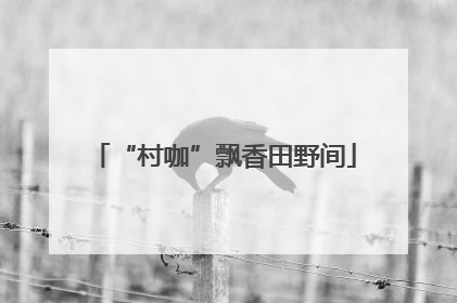 “村咖”飘香田野间