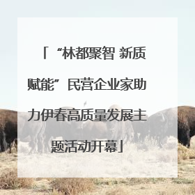 “林都聚智 新质赋能”民营企业家助力伊春高质量发展主题活动开幕