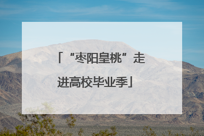 “枣阳皇桃”走进高校毕业季