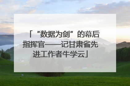 “数据为剑”的幕后指挥官——记甘肃省先进工作者牛学云