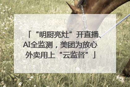 “明厨亮灶”开直播、AI全监测，美团为放心外卖用上“云监督”