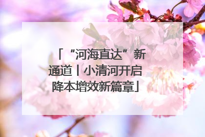 “河海直达”新通道丨小清河开启降本增效新篇章
