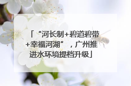 “河长制+碧道碧带+幸福河湖”，广州推进水环境提档升级