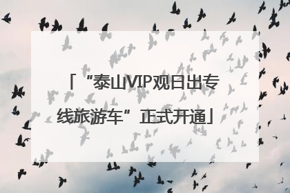 “泰山VIP观日出专线旅游车”正式开通