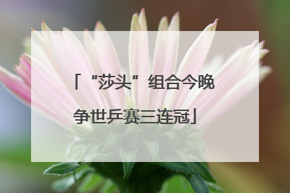 “莎头”组合今晚争世乒赛三连冠