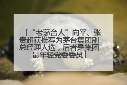 “老茅台人”向平、张贵超获推荐为茅台集团副总经理人选，后者是集团最年轻党委委员