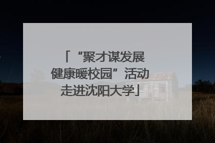 “聚才谋发展 健康暖校园”活动走进沈阳大学