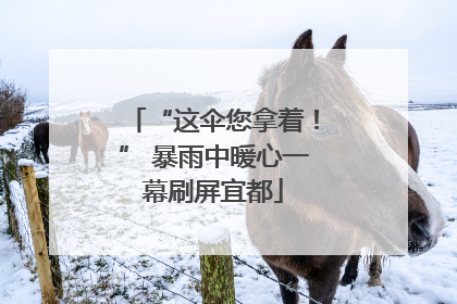 “这伞您拿着！” 暴雨中暖心一幕刷屏宜都