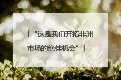 “这是我们开拓非洲市场的绝佳机会”