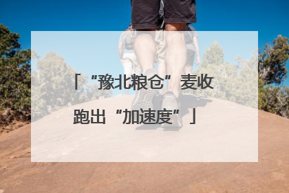 “豫北粮仓”麦收跑出“加速度”
