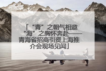 “青”之朝气相邀 “海”之胸怀奔赴——青海省招商引资上海推介会现场见闻