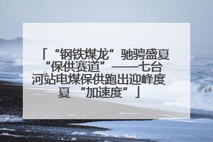 “钢铁煤龙”驰骋盛夏 “保供赛道”——七台河站电煤保供跑出迎峰度夏 “加速度”